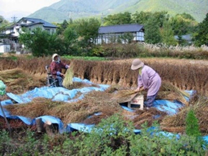 Village Inn Seizanso Matsumoto Exteriör bild